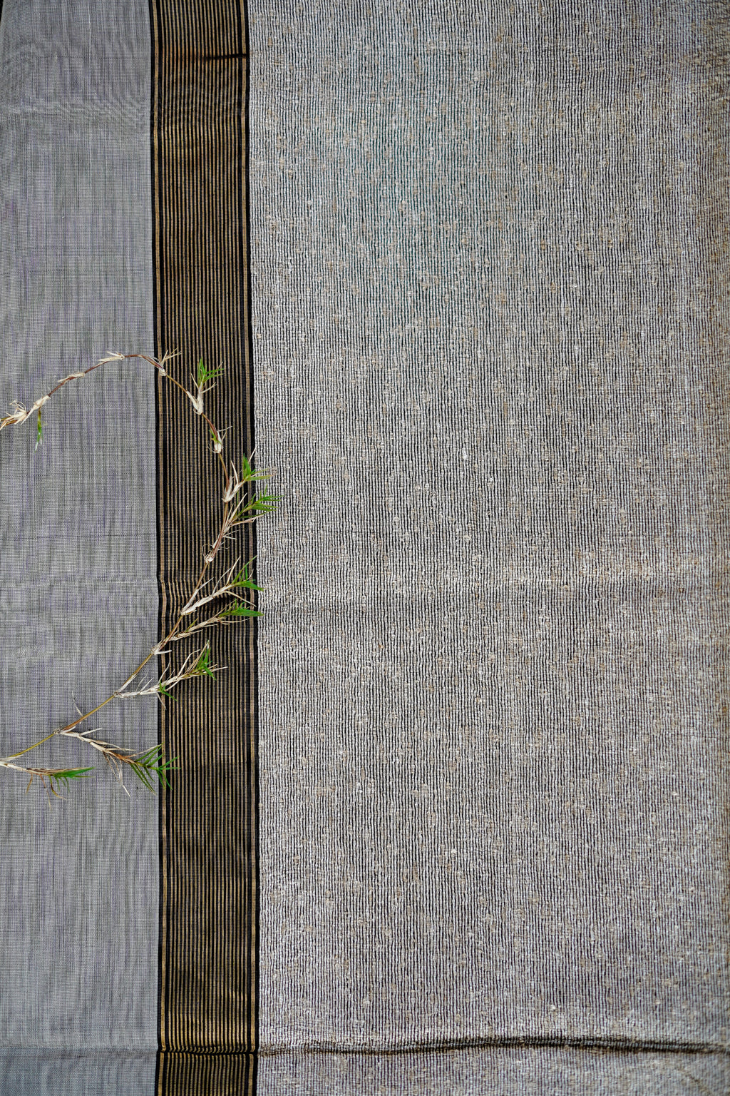 Slaty Golden Border